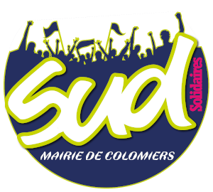 SUD Collectivités Territoriales de la Haute-Garonne : Qui aurait pu prédire ?